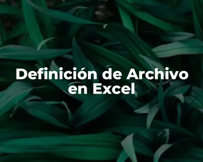 Definición de Archivo en Excel