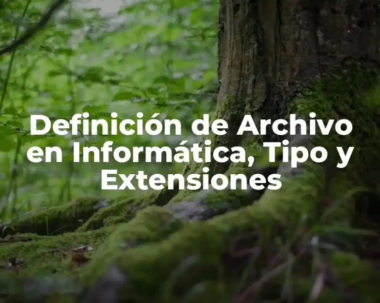 Definición de Archivo en Informática, Tipo y Extensiones