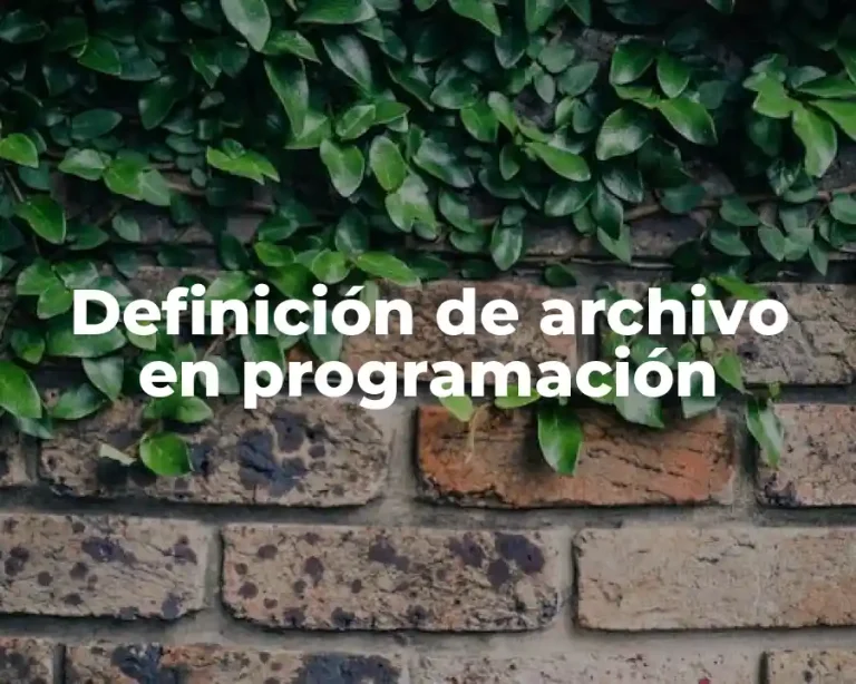 Definición de archivo en programación