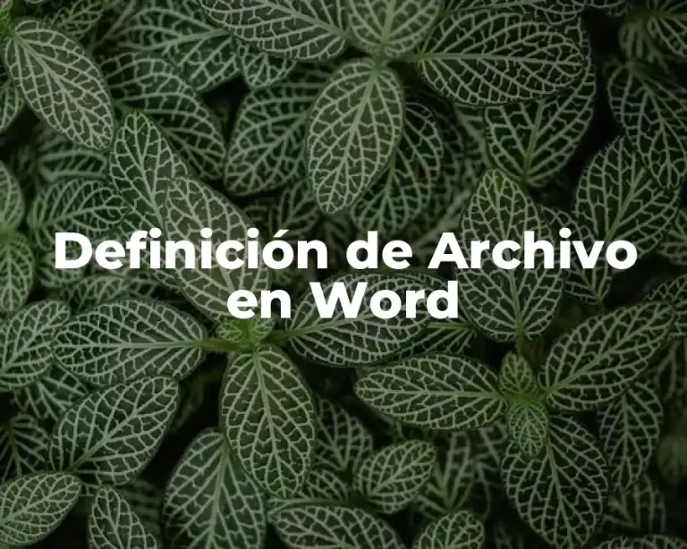 Definición de Archivo en Word