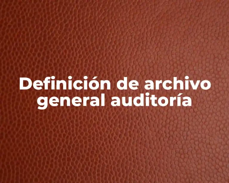 Definición de archivo general auditoría