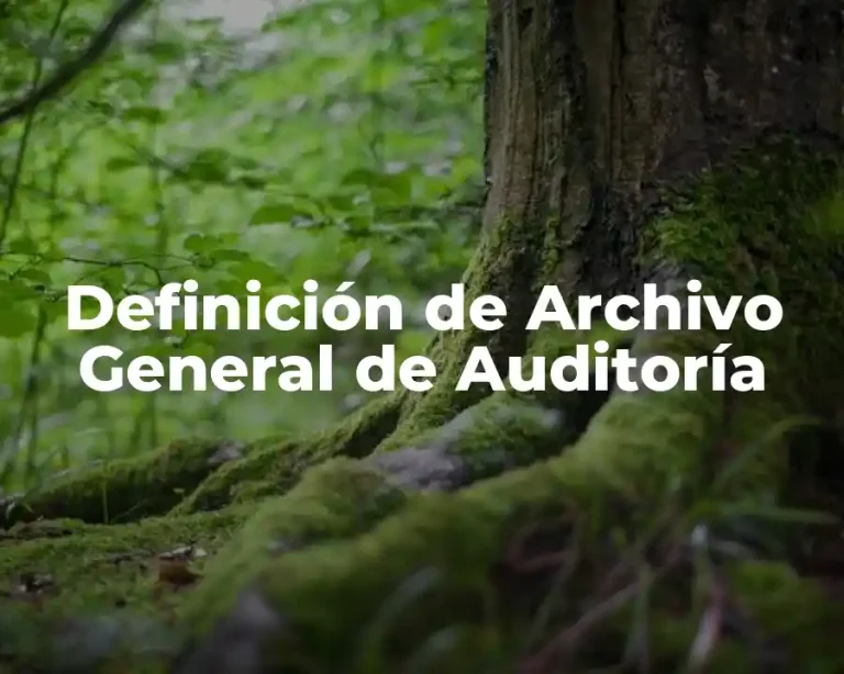 Definición de Archivo General de Auditoría