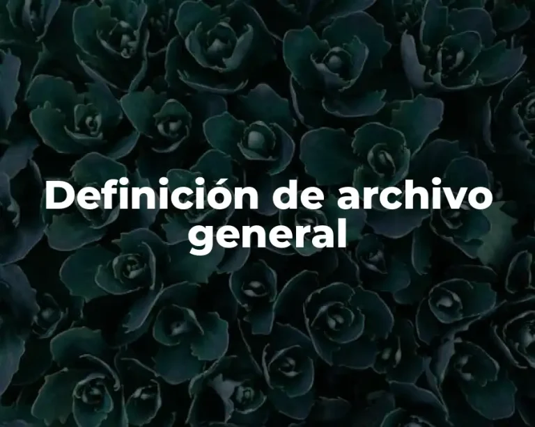 Definición de archivo general