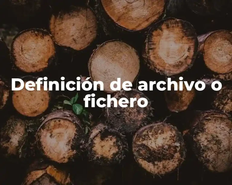 Definición de archivo o fichero