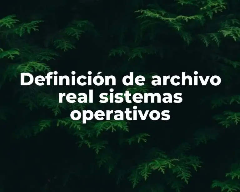 Definición de archivo real sistemas operativos