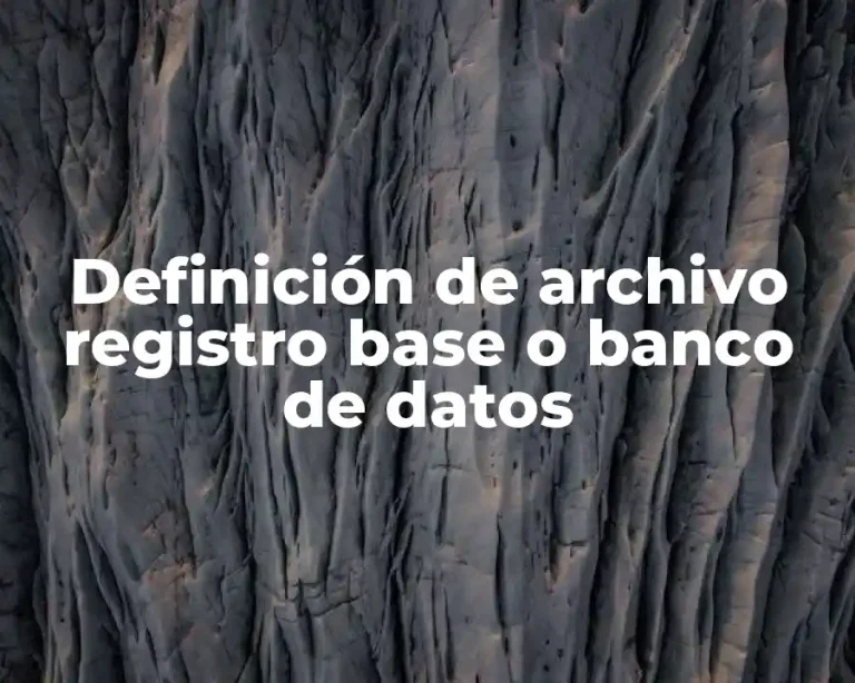 Definición de archivo registro base o banco de datos