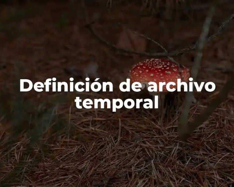 Definición de archivo temporal