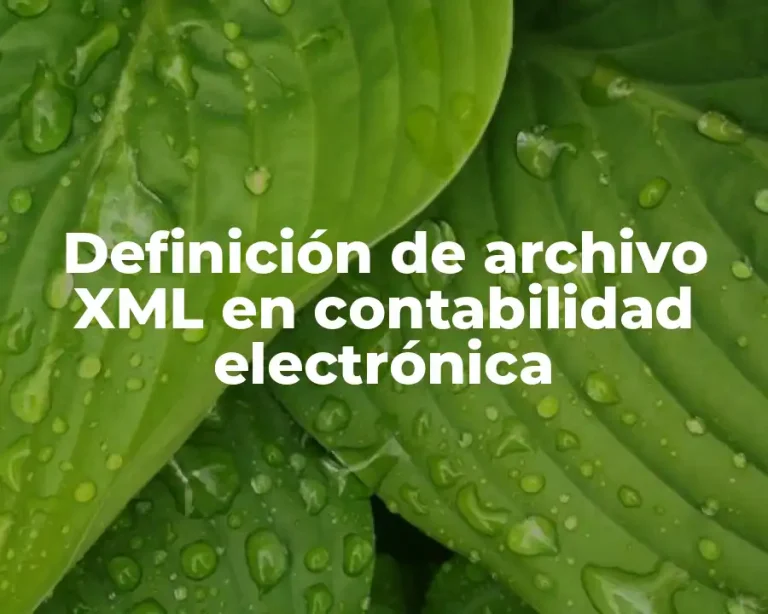 Definición de archivo XML en contabilidad electrónica
