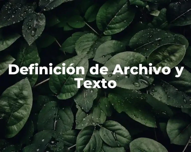 Definición de Archivo y Texto