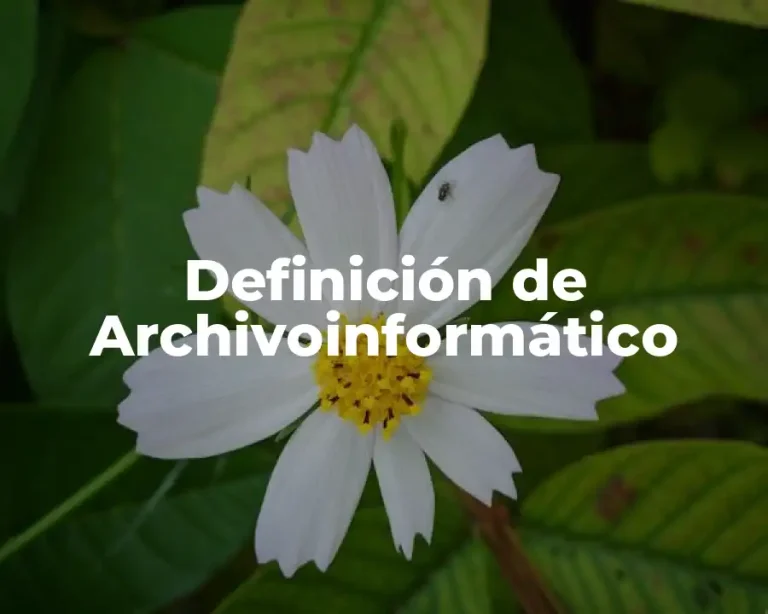 Definición de Archivoinformático