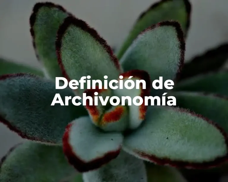 Definición de Archivonomía