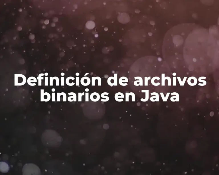 Definición de archivos binarios en Java
