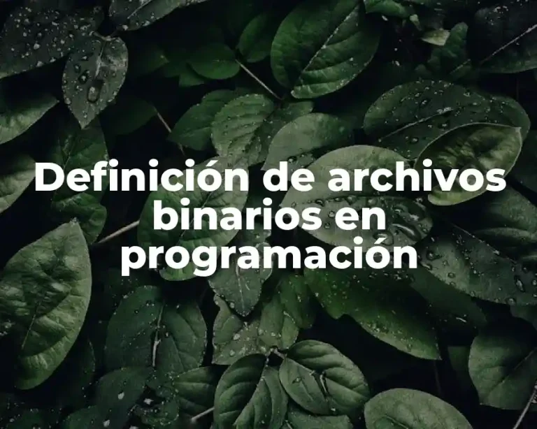 Definición de archivos binarios en programación