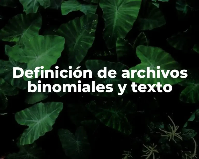 Definición de archivos binomiales y texto