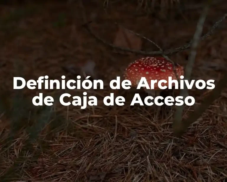 Definición de Archivos de Caja de Acceso