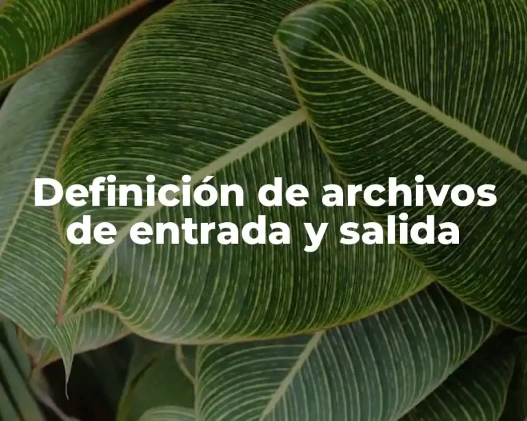 Definición de archivos de entrada y salida