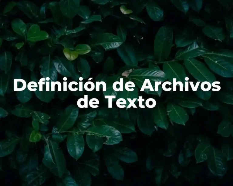 Definición de Archivos de Texto