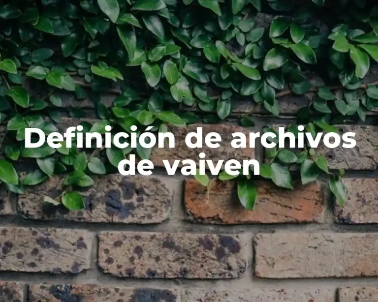Definición de archivos de vaiven