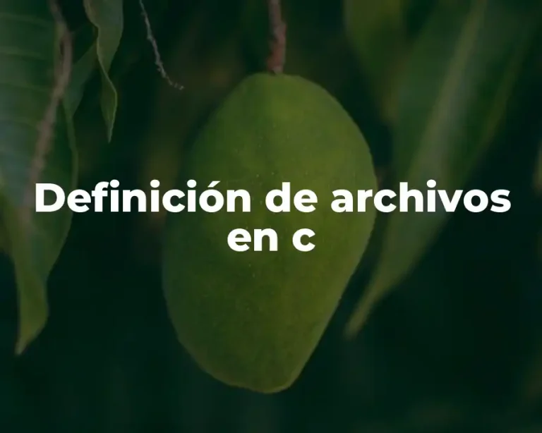 Definición de archivos en c