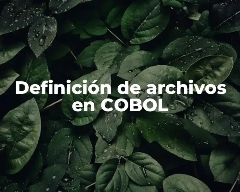Definición de archivos en COBOL
