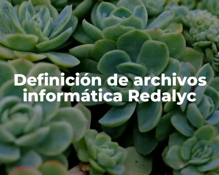 Definición de archivos informática Redalyc