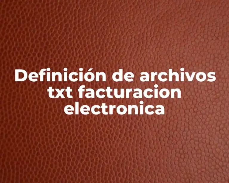 Definición de archivos txt facturacion electronica