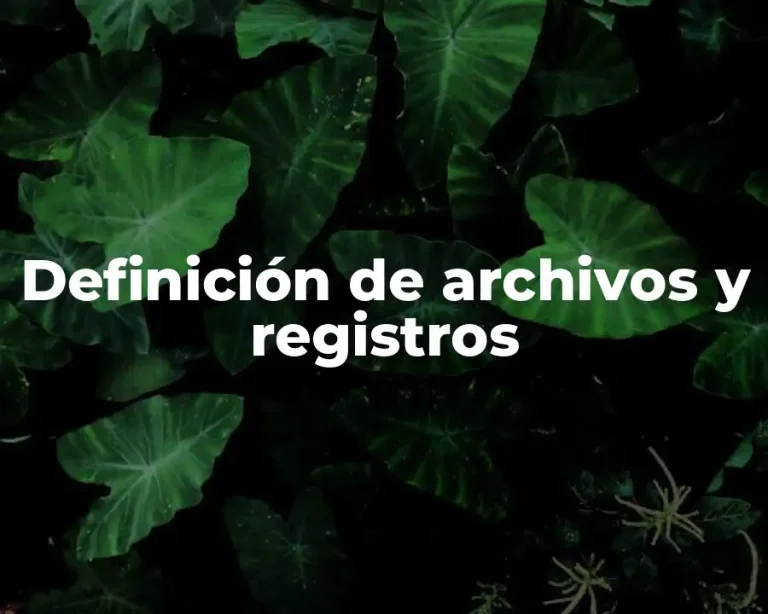 Definición de archivos y registros