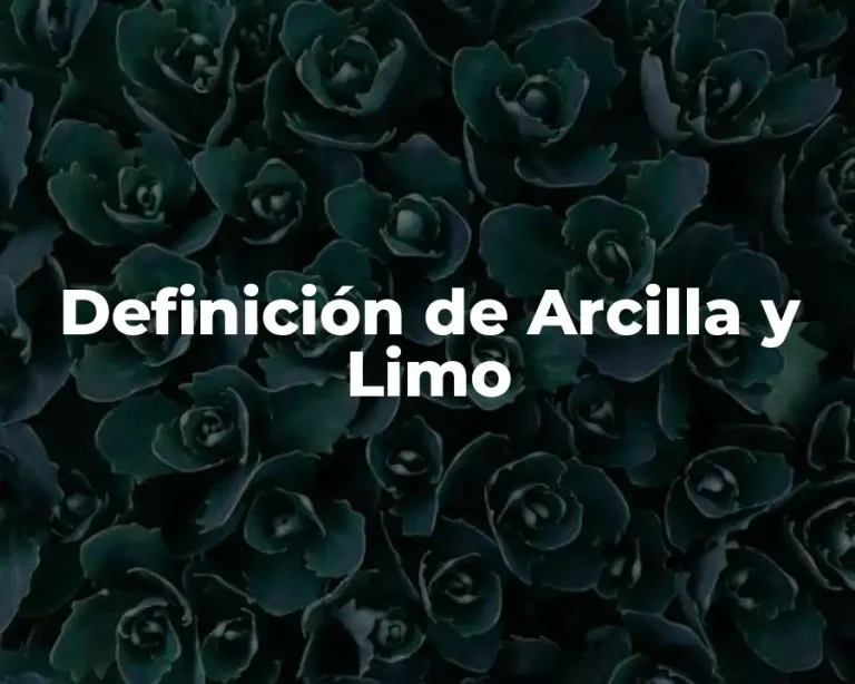 Definición de Arcilla y Limo