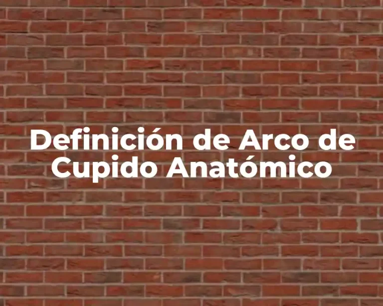 Definición de Arco de Cupido Anatómico