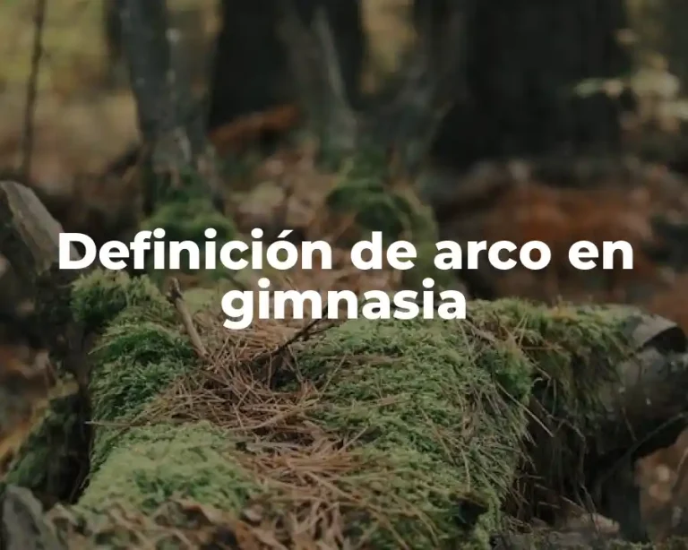 Definición de arco en gimnasia