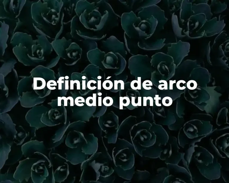 Definición de arco medio punto