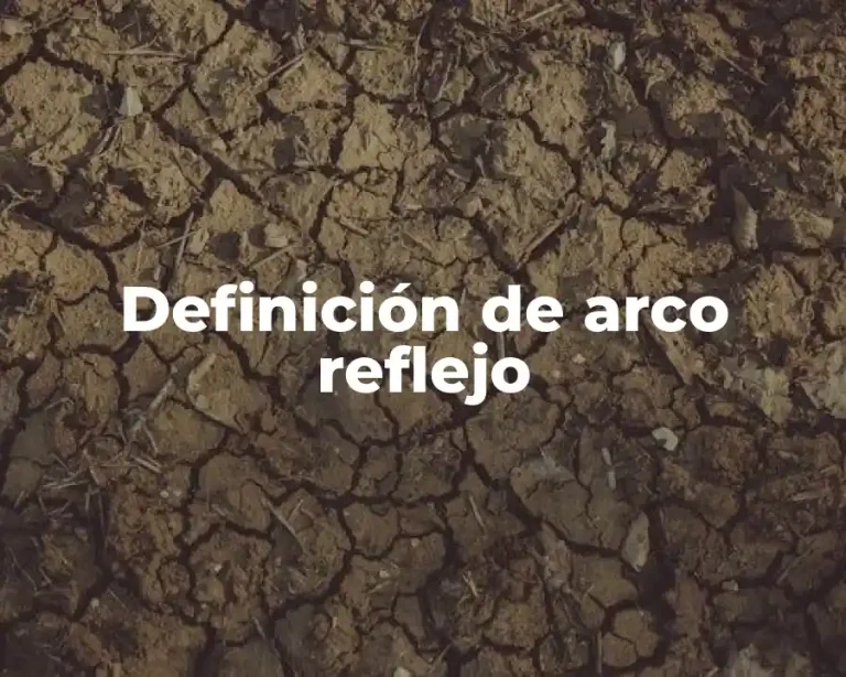 Definición de arco reflejo