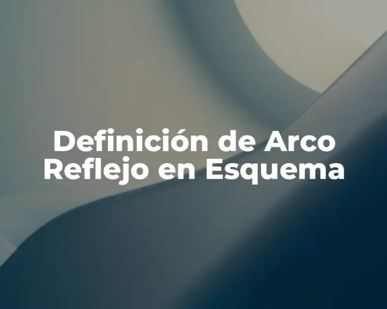 Definición de Arco Reflejo en Esquema