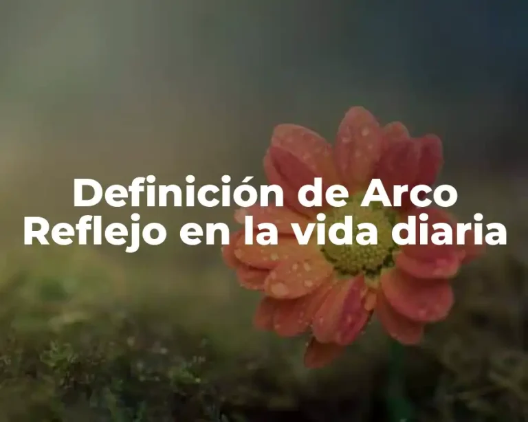 Definición de Arco Reflejo en la vida diaria