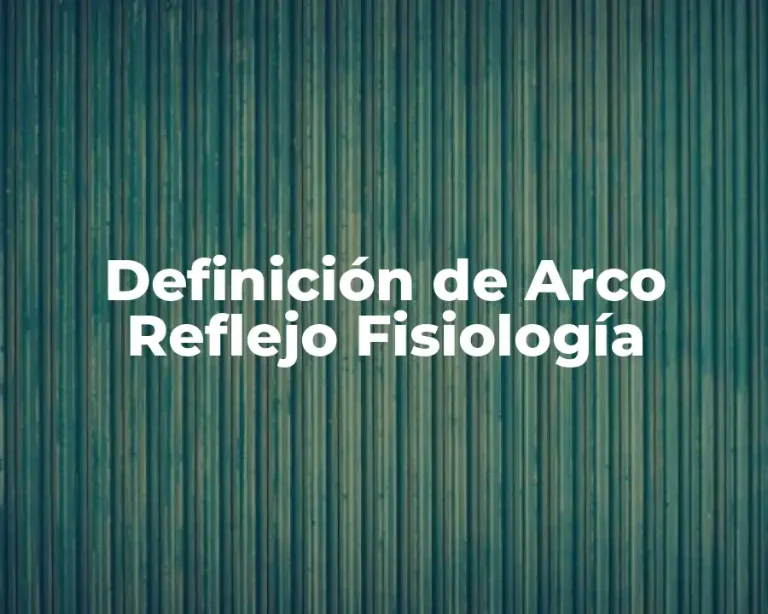 Definición de Arco Reflejo Fisiología