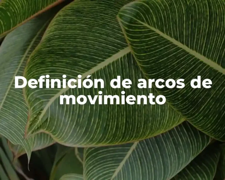 Definición de arcos de movimiento