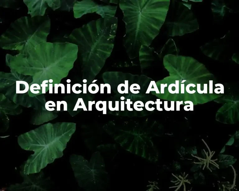 Definición de Ardícula en Arquitectura