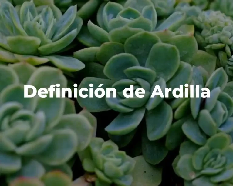 Definición de Ardilla