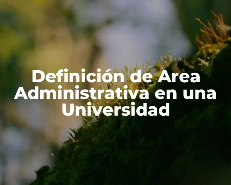 Definición de Area Administrativa en una Universidad