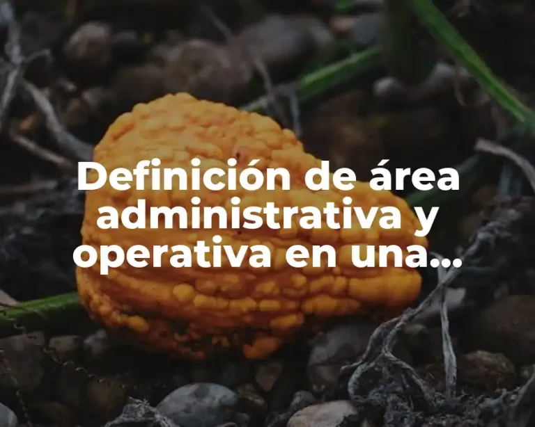 Definición de área administrativa y operativa en una empresa comercial