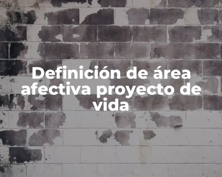 Definición de área afectiva proyecto de vida