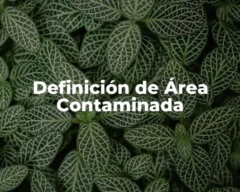 Definición de Área Contaminada