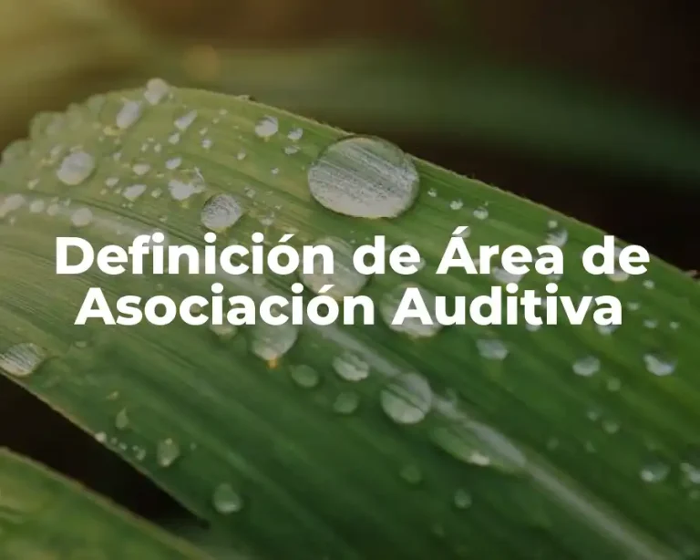 Definición de Área de Asociación Auditiva