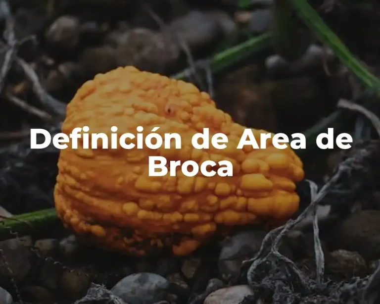 Definición de Area de Broca