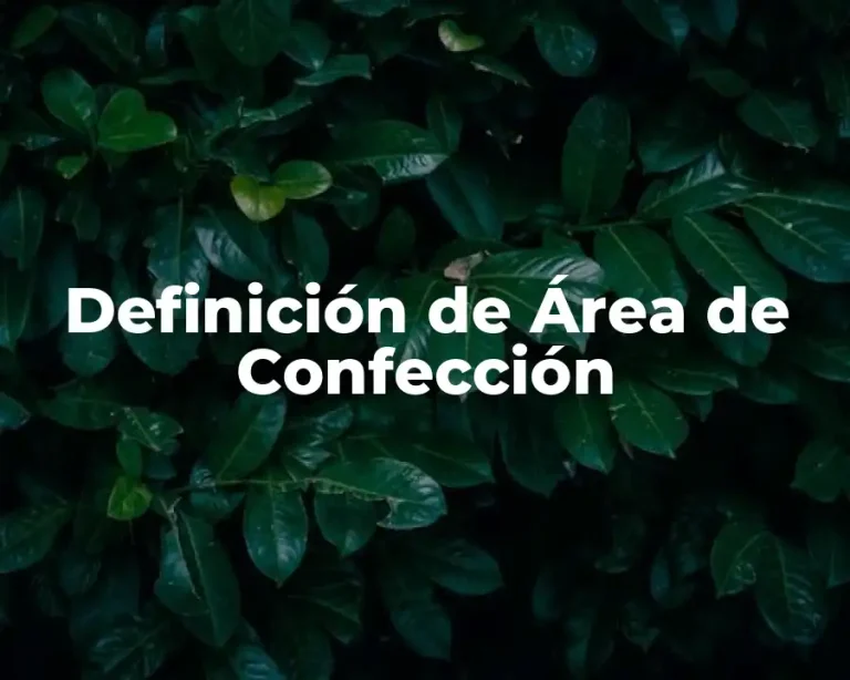 Definición de Área de Confección
