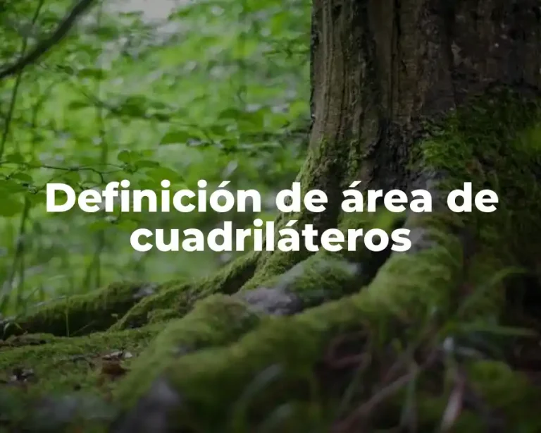 Definición de área de cuadriláteros