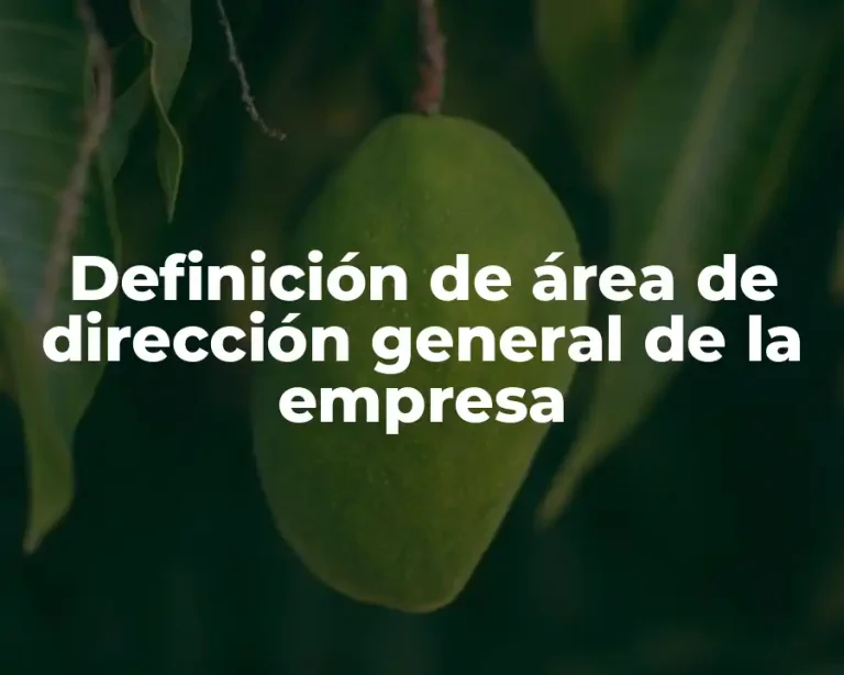 Definición de área de dirección general de la empresa