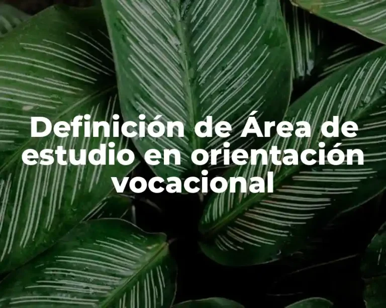Definición de Área de estudio en orientación vocacional