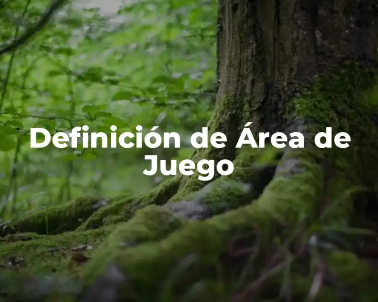 Definición de Área de Juego