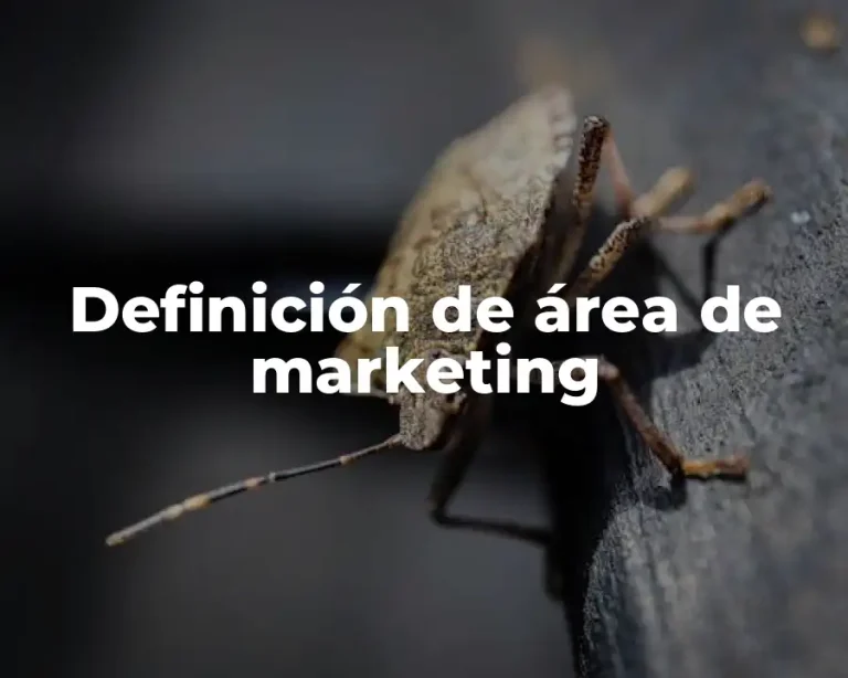 Definición de área de marketing